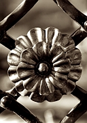Wall_Art_Alphabet_Photography_Art_ 1601